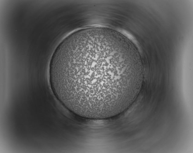 X0000088671431200706141328