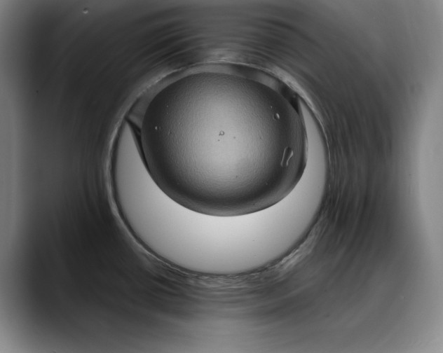 X0000088671434200706141328