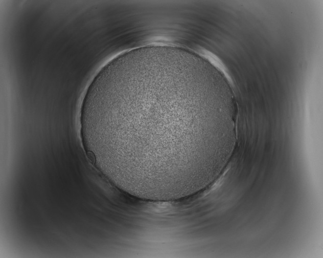 X0000088671435200706141328