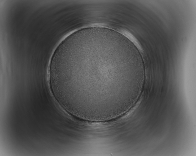 X0000088671436200706141328