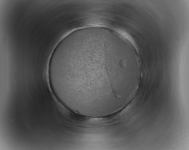 X0000088671439200706141328