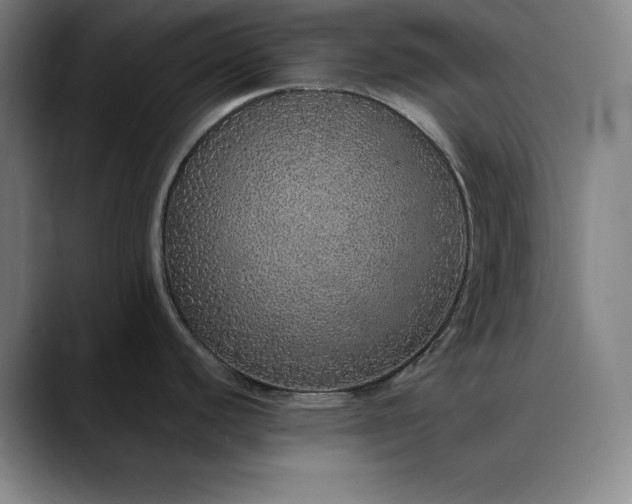X0000088671440200706141328