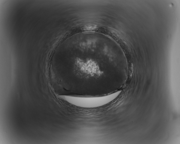 X0000088671441200706141327
