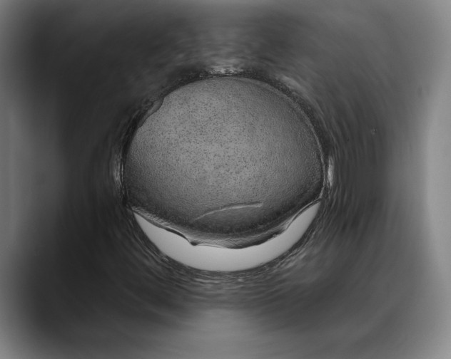 X0000088671444200706141327