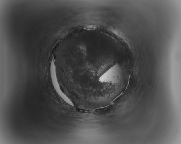 X0000088671445200706141327