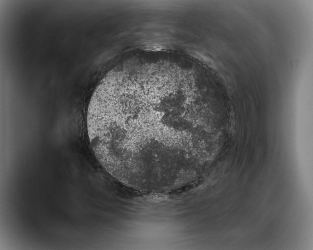 X0000088671446200706141327