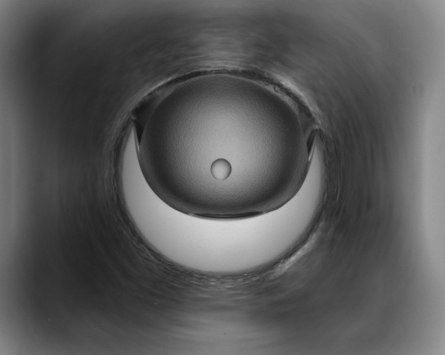 X0000088671453200706141327