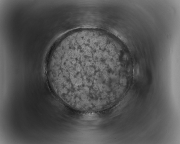 X0000088671454200706141327