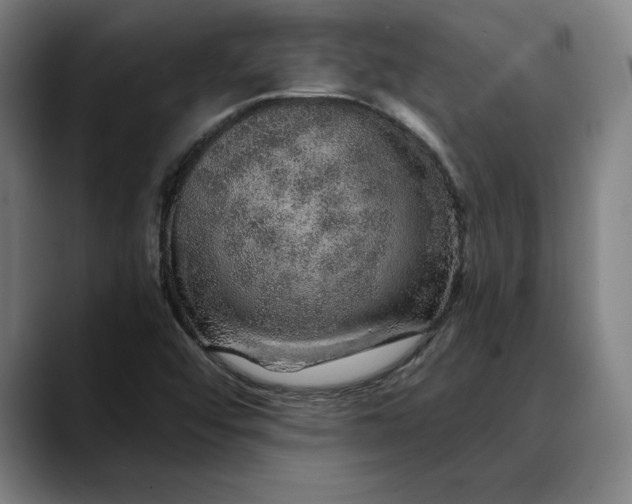 X0000088671456200706141327