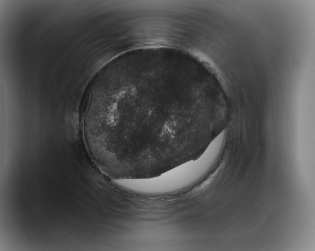 X0000088671457200706141327