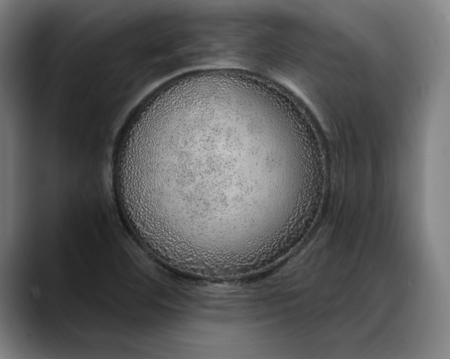 X0000088671460200706141327