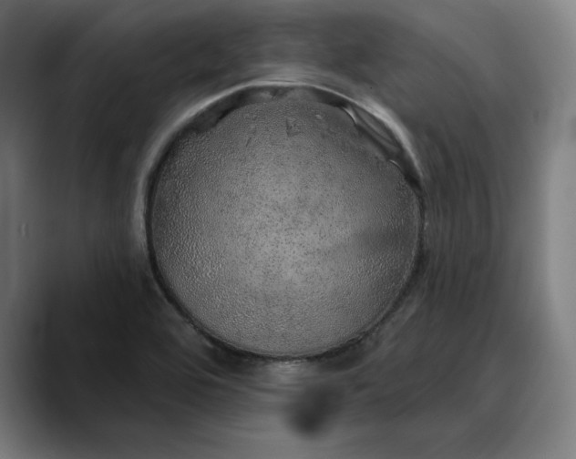 X0000088671464200706141327