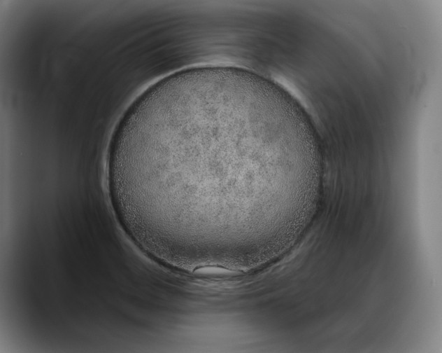 X0000088671468200706141327