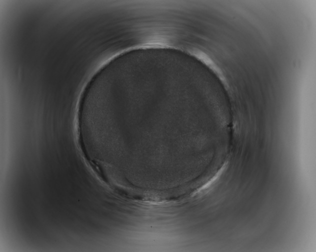 X0000088671469200706141327