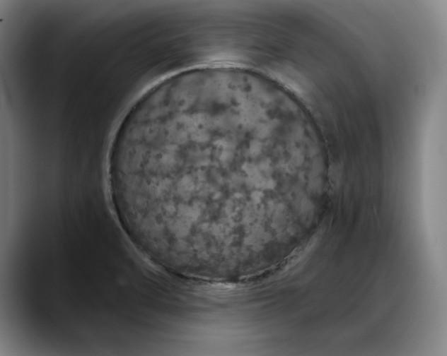 X0000088671470200706141327