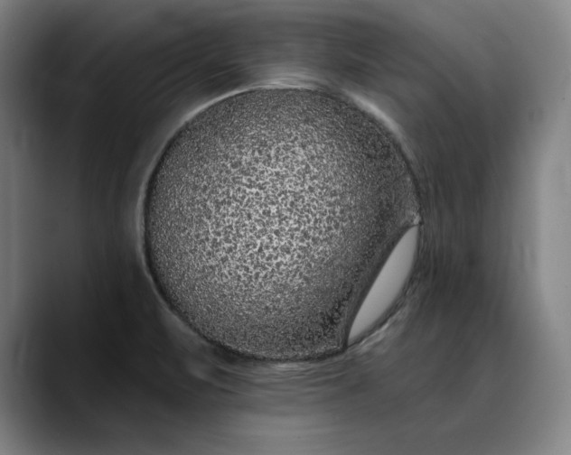 X0000088671471200706141327