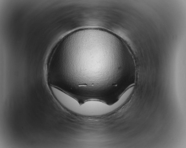 X0000088671472200706141327