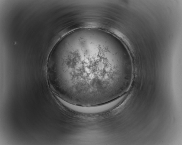 X0000088671473200706141327