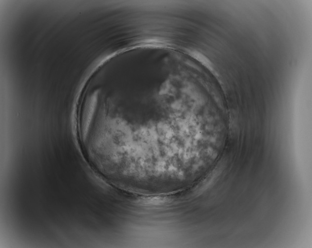 X0000088671474200706141327