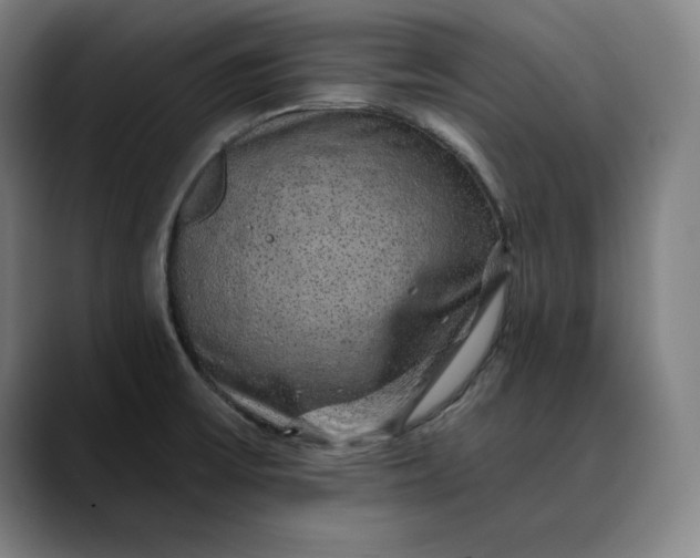 X0000088671475200706141327