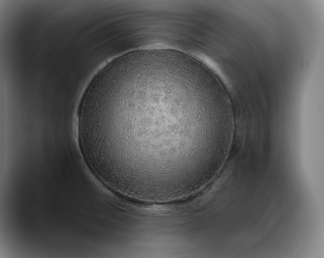 X0000088671476200706141327
