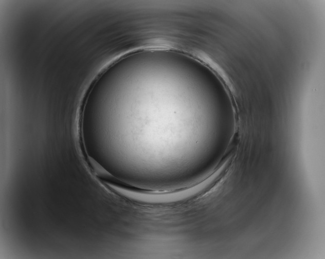 X0000088671477200706141327