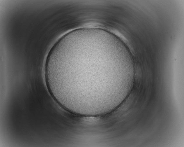 X0000088671478200706141327