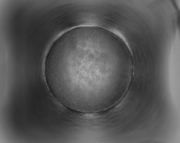 X0000088671480200706141327