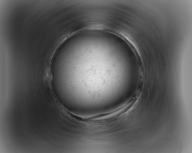 X0000088671481200706141327