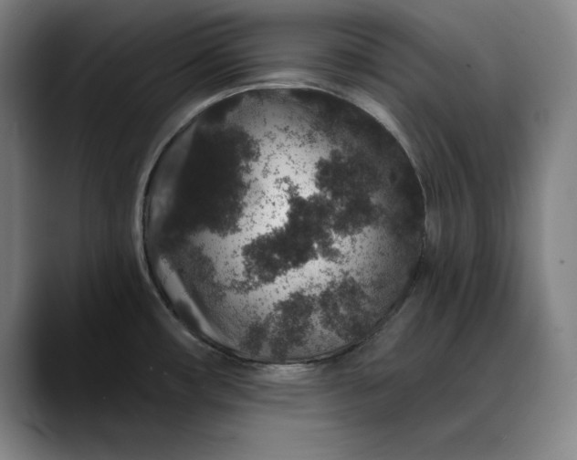 X0000088671482200706141327