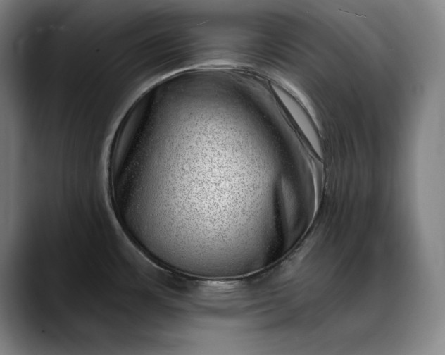 X0000088671483200706141327
