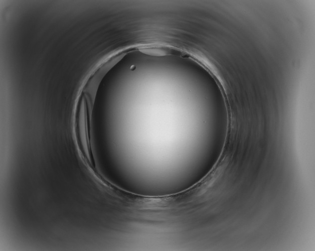 X0000088671485200706141327