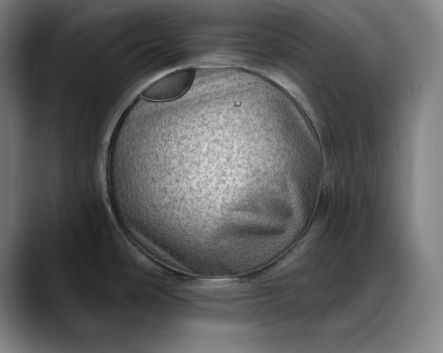 X0000088671486200706141327