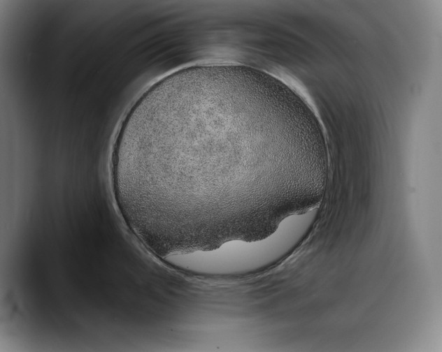 X0000088671488200706141327