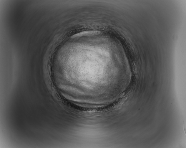 X0000088671489200706141326