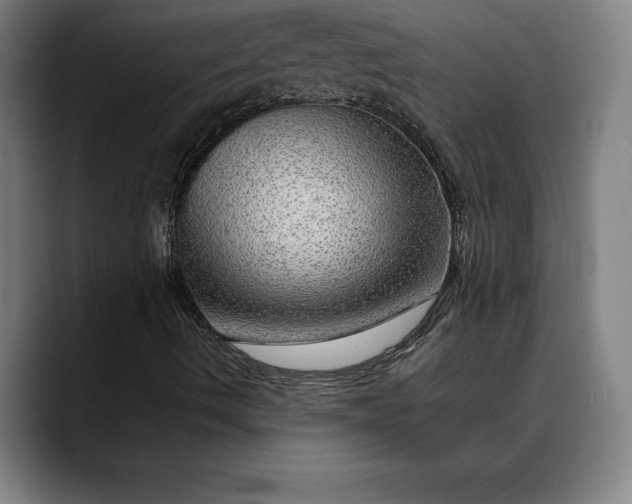 X0000088671490200706141326
