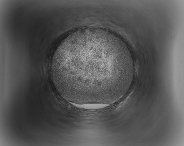 X0000088671494200706141326