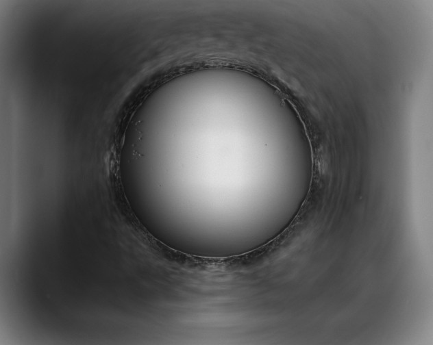 X0000088671495200706141326