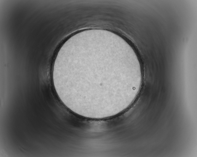 X0000088671498200706141326