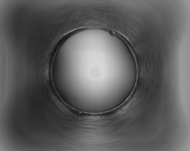 X0000088671499200706141326