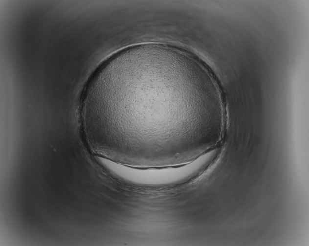 X0000088671501200706141327