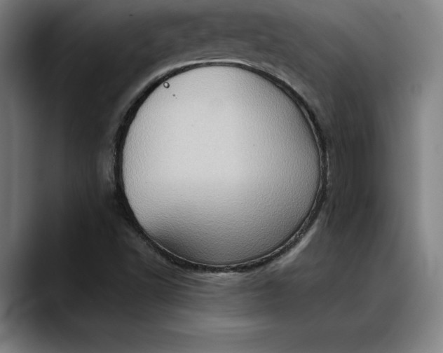 X0000088671502200706141327