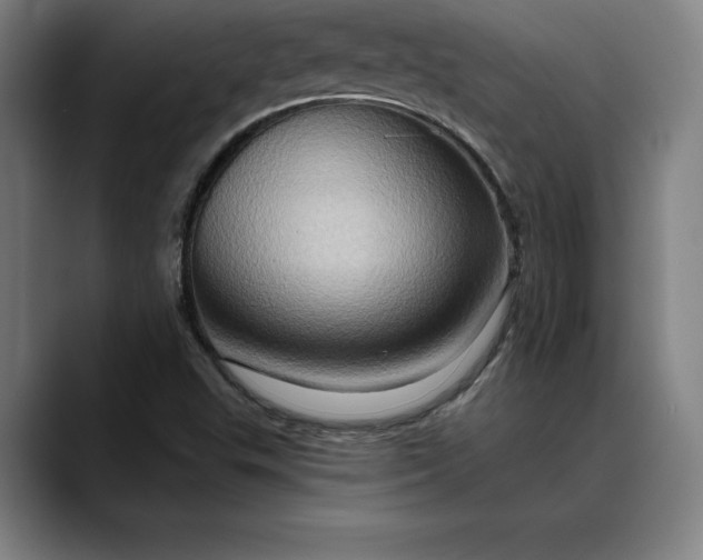 X0000088671503200706141327