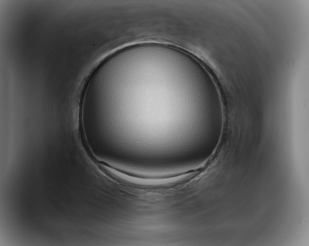 X0000088671504200706141327