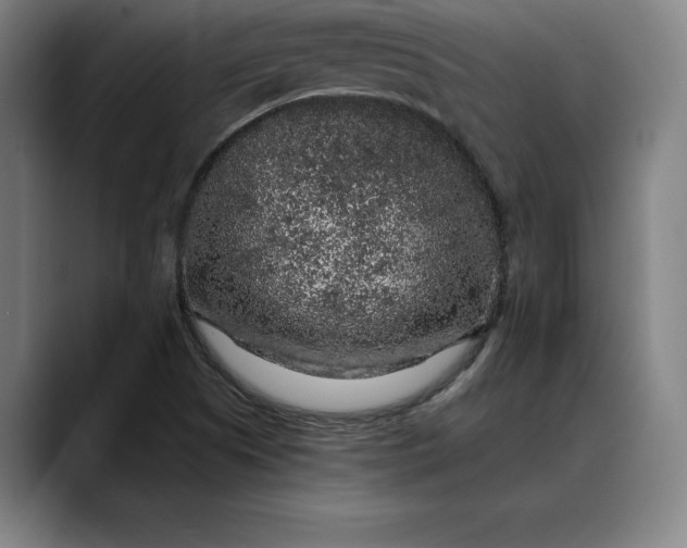 X0000088671505200706141327