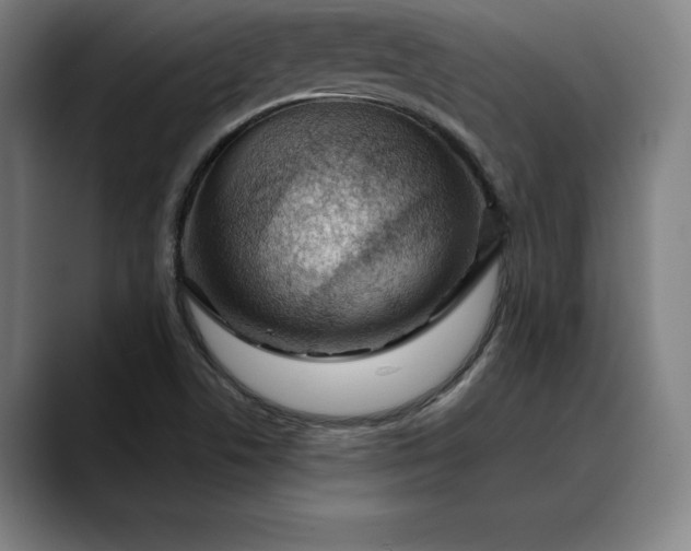 X0000088671506200706141327