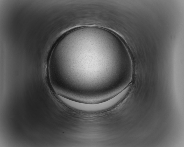 X0000088671507200706141327