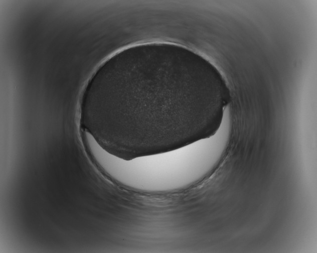 X0000088671508200706141327
