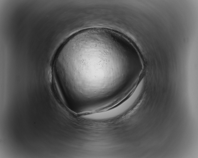 X0000088671509200706141327