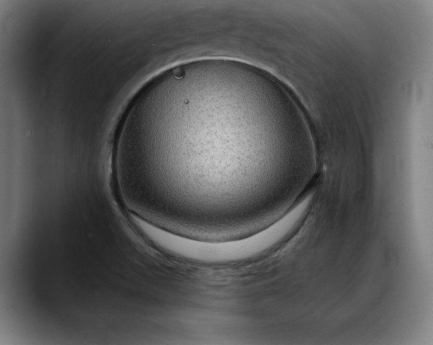 X0000088671511200706141327